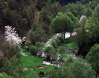 Places of Bulgaria